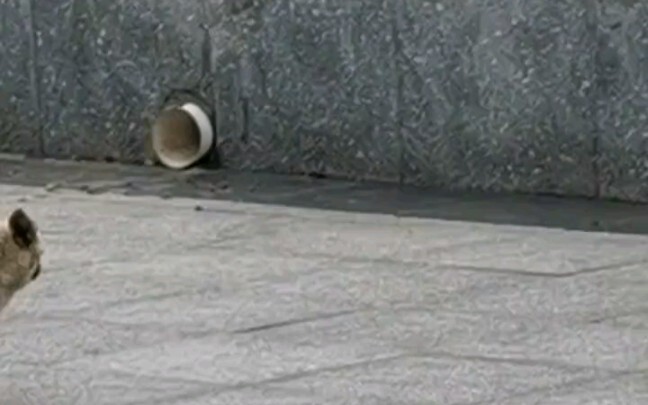 I thought you’d never make it out.