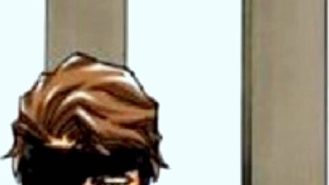 The mystery of Aizen Zanpakuto, has Kyoka Suigetsu Bankai ever appeared?