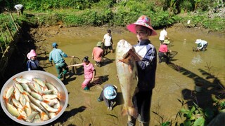 TÁT AO BẮT ĐƯỢC THỦY QUÁI THƯỞNG THỨC GỎI CÁ NHẢY SIÊU HẤP DẪN CỦA NGƯỜI THÁI