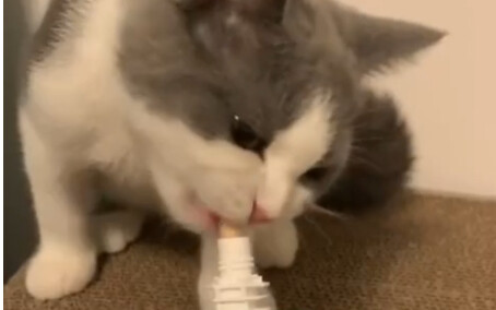 วัตถุดิบสุดหรูหรา