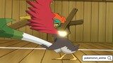 Pokemon Anime Ep 34 -Trận chiến cực hay-  Bea vs Ash AMV #amv #pokemon
