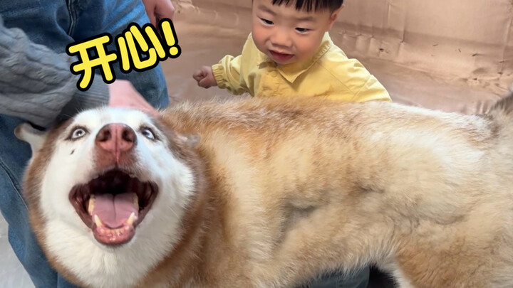 A little kid has six dogs from a young age—let’s see which one he loves the most!