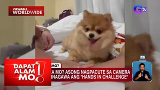 Aso, kinatuwaan online dahil sa kanyang “hands in challenge” | Dapat Alam Mo!