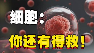 What do your cells do when you're dying?