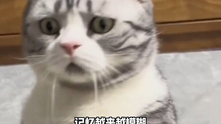 Đừng động vào ký ức tuổi thơ của tôi!