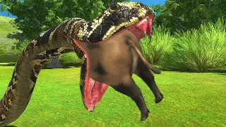 A day in the life of a Burmese python - Animal Revolt Battle Simulator