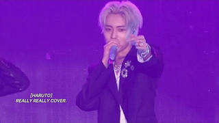 Treasure - Really Really 1ST CONCERT ( Haruto Fancam )