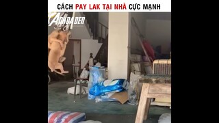 Hướng Dẫn Pay Lak Tại Nhà Cực Mạnh