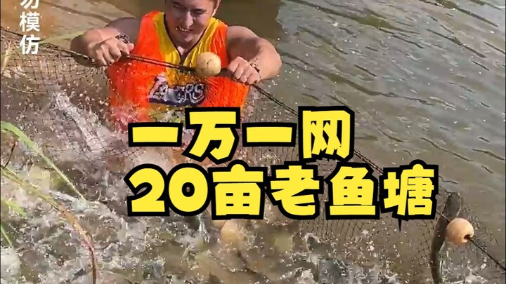 一万块包一网，20亩老鱼塘