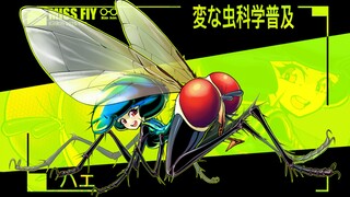奇奇怪怪的虫虫科普（苍蝇）