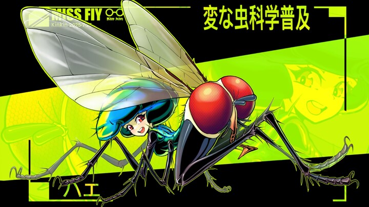 奇奇怪怪的虫虫科普（苍蝇）