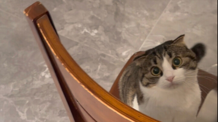 Đợi em với, Tsoo Ji Mi!