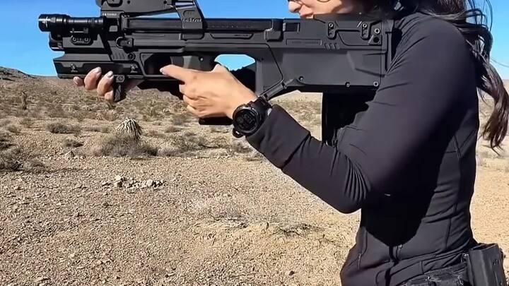 Can I afford this gun?