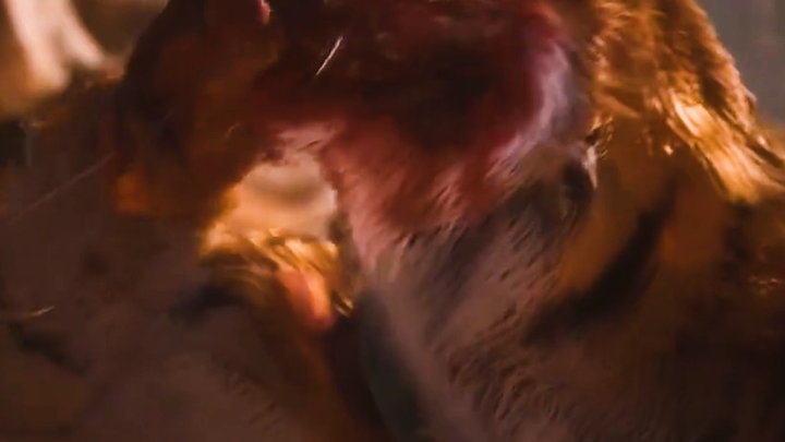 The oppressive feeling from Tiger Vanguard. Two or three punches will shatter your dream of becoming