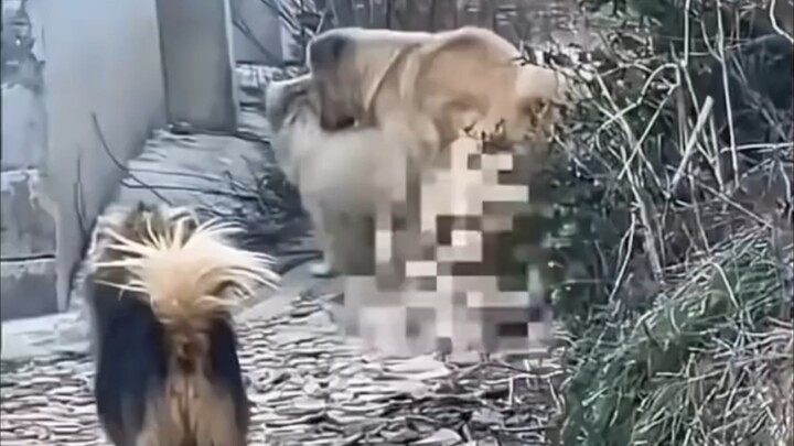 อย่าไปนะ ฟังฉันอธิบายก่อน ไม่ได้เป็นอย่างที่เธอเห็นหรอก