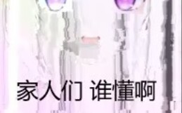 Introducing a brand-new “wife”!