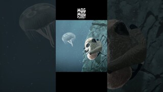 Under the sea meerkat