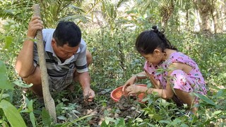 Mề Vịt Nấu Chao Nhất Định Phải Có Củ Này Mới Ngon Nhất Nách | TKQ & Family T872