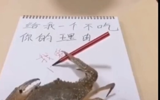 Give Me a Reason Not to Eat You: The Patriotic “Pink Crab”