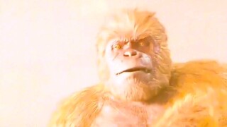 为什么孙悟空的金箍棒 几乎没有展示出性能优势呢