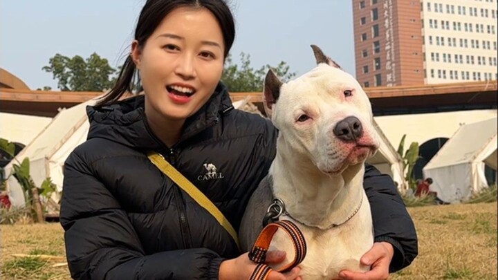 كنت أسير مع كلبي العدواني اليوم وأخفت الكلب حتى الموت ...