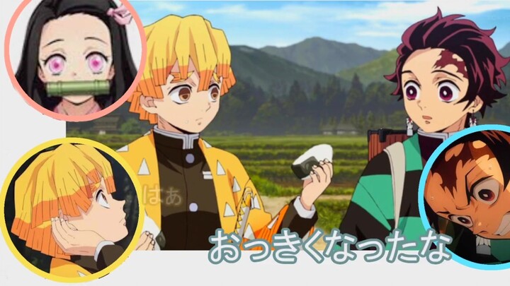 [Siaran Kimetsu no Yaiba] Nezuko ada di sini, dengarkan sorakan Zenitsu dan Tanjiro