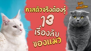 ทาสตัวจริงต้องรู้ 13 เรื่องลับของแมว : รู้แล้วเหยียบไว้นะ EP26