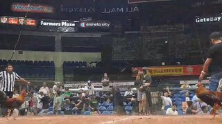 WSC 2 Pure Bruce Barnett Sweater vs Raffy BLACKWATER - Loss