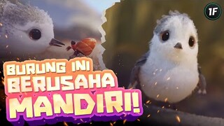 BURUNG IMUT MELAWAN RASA TAKUT - ALUR CERITA FILM KARTUN PIPER 2016