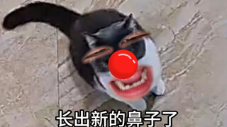 《我免费了》