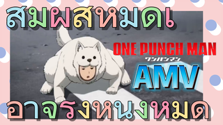 [วันพันช์แมน] AMV |  สัมผัสหมัดเอาจริงหนึ่งหมัด