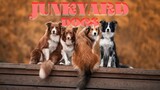 Junkyard Dogs 2022