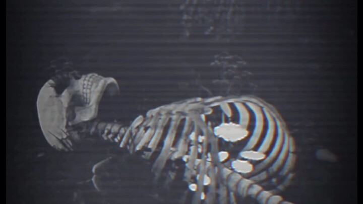 যেন আহতো কোন যোদ্ধার বুকে বেঁচে থাকা এক মেঘফুল 🌼🌼🌼🌼🌼