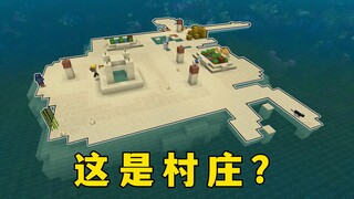 我的世界：奇葩种子大赏，这也叫村庄？