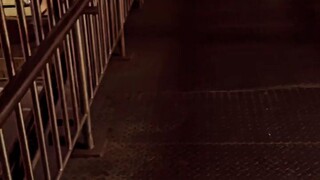 Alone