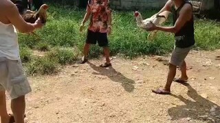 Barag!
