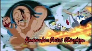 Komandan Devisi Bajak Laut Shirohige
