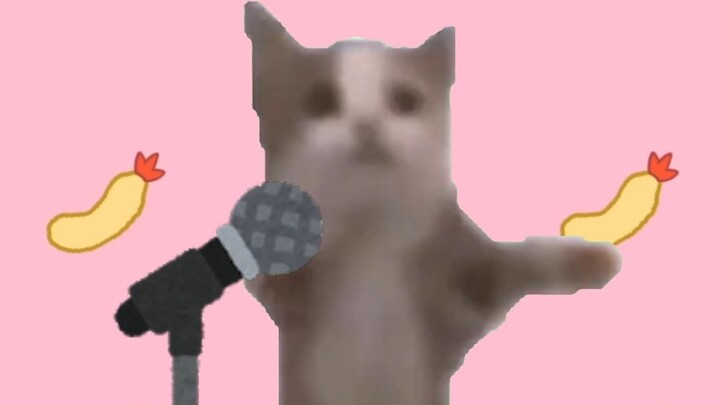 Bagaimana bisa ada orang yang bisa menjepit kucing menjadi kucing bahagia lalu bernyanyi!!