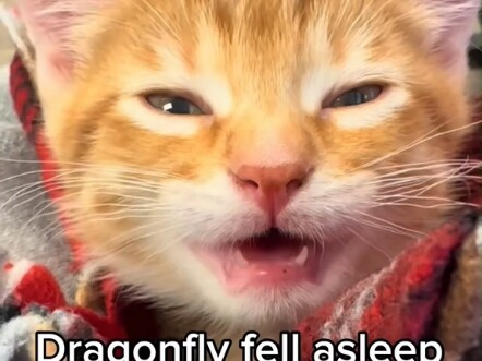 Person: I’m asleep.