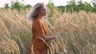 HasenChat Music - Love Fool