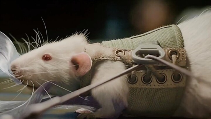 Họ vốn nghĩ đó là một phát hiện vĩ đại, nhưng bất ngờ mất kiểm soát và bùng nổ thành một thảm họa.