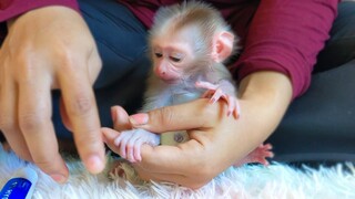 So adorable when Mom is applying medical cream for tiny handsome boy Luca