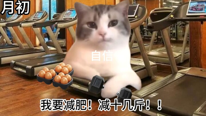 หนึ่งเดือนแห่งการลดน้ำหนักของเจ้าเหมียว