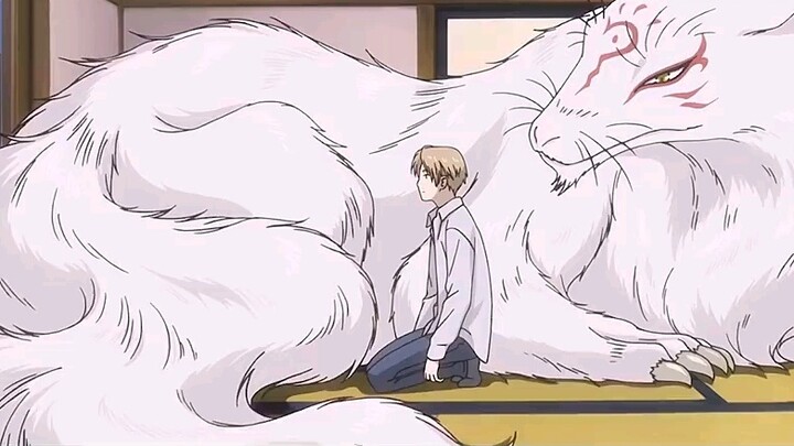 Natsume Yuujinchou Roku