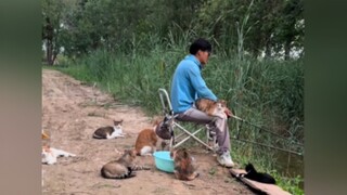Chỉ vì tôi đã tặng mèo của mình một con cá cách đây năm năm, tôi đột nhiên chuyển từ một blogger câu