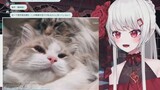 Hotgirl Nhật Bản xem phim về mèo hàng đầu