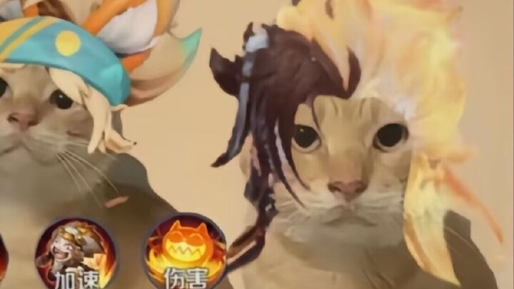 Over 100 Hours! Haki Tiger’s Hacking Tutorial 🐯