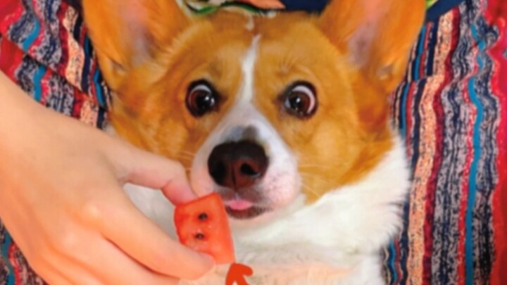 Sun Tzu's Art of War: Feeding Medicine with Dumplings