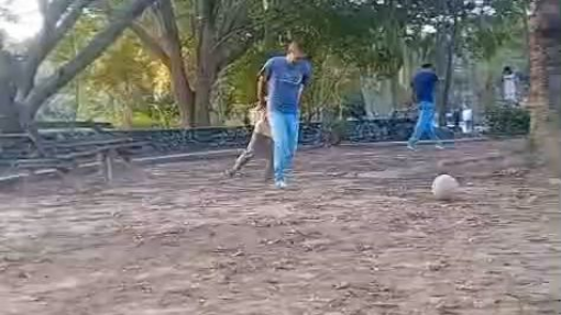 nao fui eu