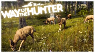 People Are So Angry at This Game For Some Reason \\ Way of the Hunter Gameplay
